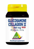 Snp Glucosamine Collageen Type Ii Puur (90ca)
