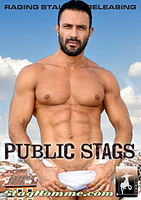 Stag Homme Public Stags Stuk