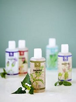 Urtekram Lavendel Shampoo 500ml