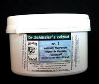 Sanopharm Calcium Fluoratum Vitazout Nr. 01 Tabletten