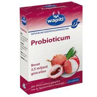 Wapiti Probioticum 20 Capsules