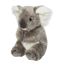 Body And Beauty Shop Koala Knuffeldieren 22 Cm