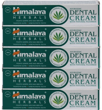 Himalaya Himalaya Herbals Ayurveda Dental Cream 5 Pack 5x 100g