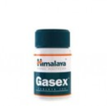 Holisan Gasex   100 Tabletten