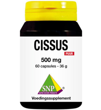 Snp Cissus 500 Mg (60ca)