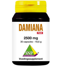 Snp Damiana Extract 2500 Mg Puur (30ca)
