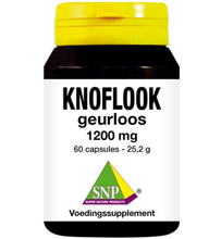 Snp Knoflook Geurloos 1200 Mg (60ca)