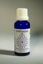 Vita Syntheses 70 Spijsvertering Enzym 30ml