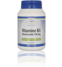Vitakruid Vitamine B3 Niacinamide 500 Mg (90vcap)