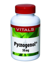 Vitals Pycnogenol 60cap